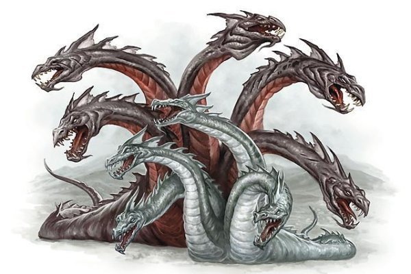 Kraken 19 at