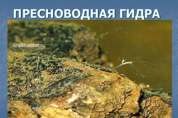 Войти на кракен